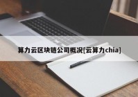 算力云区块链公司概况[云算力chia]